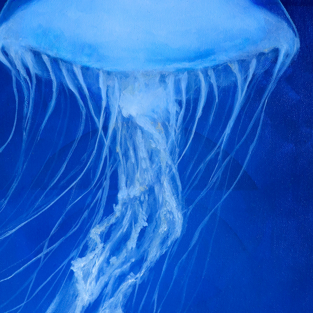 Jellyfish in Deep Blue