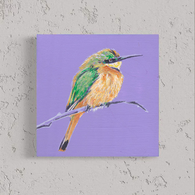 Little Bee-eater