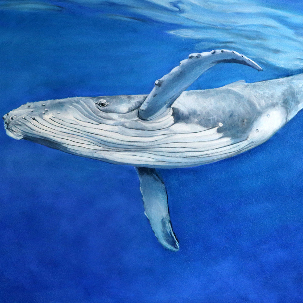 Serene Humpback