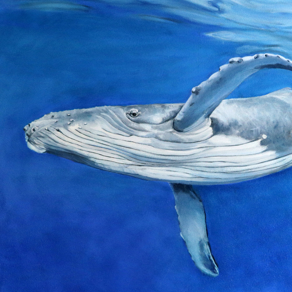 Serene Humpback