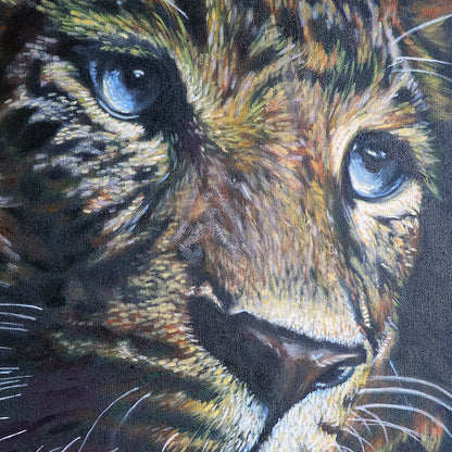 Eyed by the Elusive